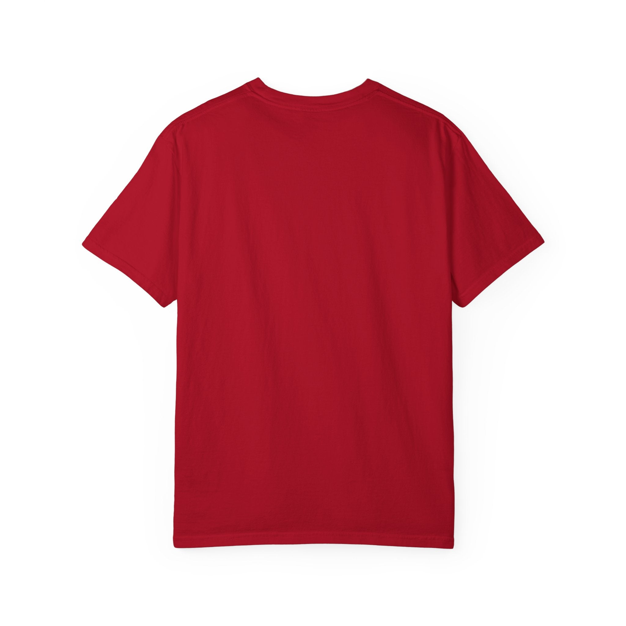 Patriotic Raccoon T‑Shirt — "Red, White and Ferale 'Merica" 4th of July Tee
