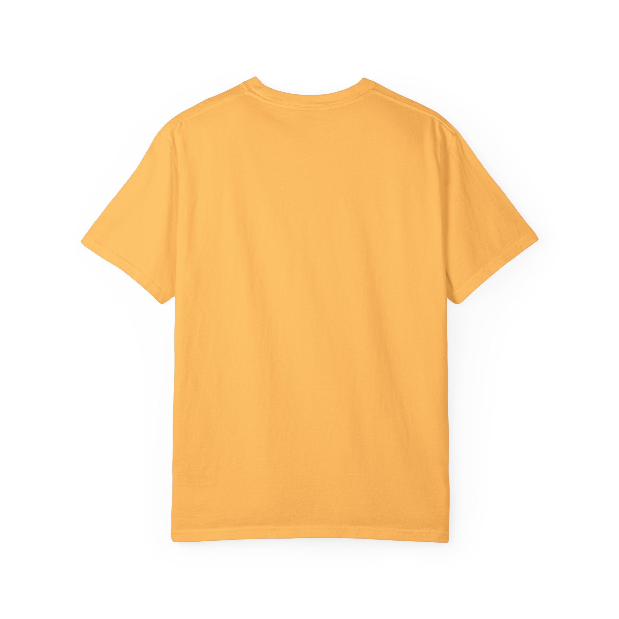 Graphic T-Shirt — “Hotter Than Hoochie Coochie” Retro Pool Float Design